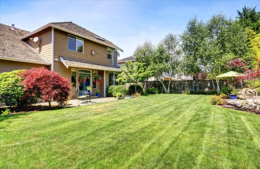 spring lawn care